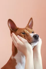 Photo sur Plexiglas Chien Girl holding dog head in her palms.