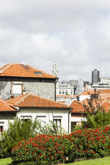 Obraz premium Centre of the city of Porto