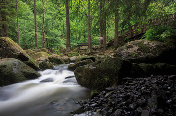 Langzeitbelichtung eines Flusses im Wald