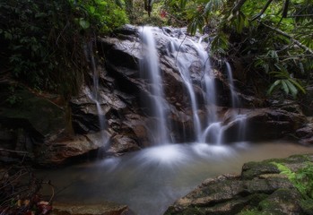 Naklejka na ściany i meble wilderness of jungle rainforest with tropical green plants and waterfall cascade.