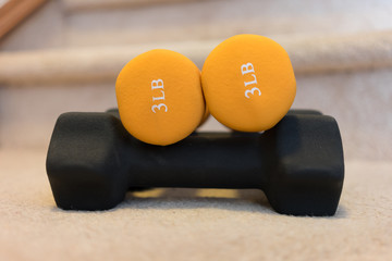 Dumbbells with Home Gym