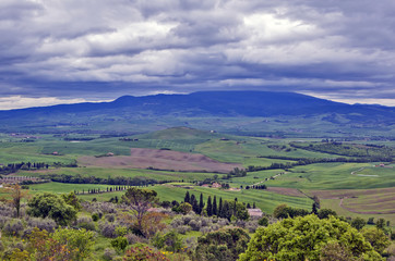 Fototapeta na wymiar Tuscan landscapes. Pienza. Italy
