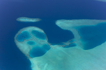 Fototapeta na wymiar Korallenriff auf den Malediven