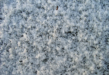 Close up view of fresh snowflakes on surface.