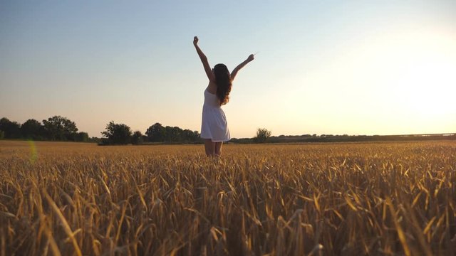 Unrecognizable beautiful girl walking along wheat field and raising her hands. Young woman going at the meadow and enjoying freedom. Summer leisure at nature concept. Side view Close up Slow motion