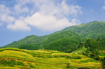 countryside scenery in autumn 