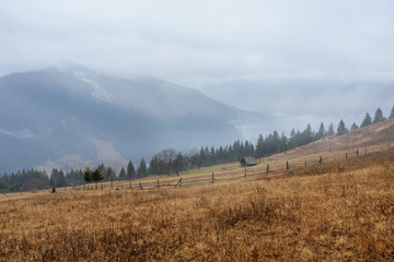 Beautiful view with morning fog in early spring, in Carpathian mountains, in Transylvania, Romania