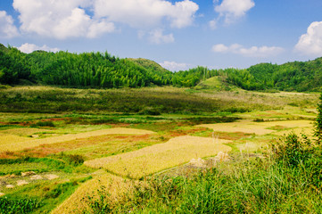 countryside scenery in autumn 