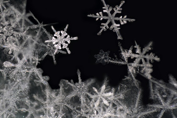 Natural snowflake close-up. Winter, cold.