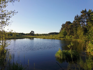 Fototapeta na wymiar Little lake at north-eastern europe, sunny day, wild nature