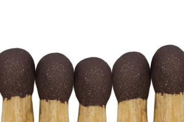 A match with a tree photographed close-up with a brown head.