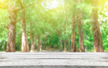 Fototapeta na wymiar fresh tree green nature blurred background