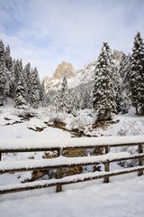 torrente Canali in inverno - Val Canali, nel parco naturale di Paneveggio - Trentino