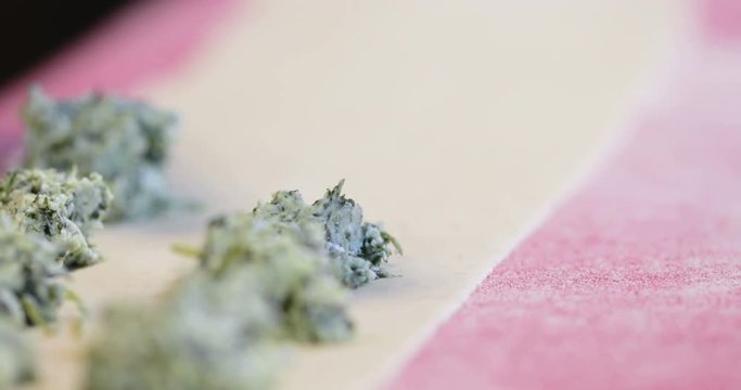 Preparazione pasta ravioli ripieni di ricotta e spinaci fatti in casa
