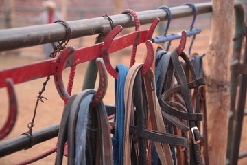 Horse riding leather equipment, harness, bridles. monument Valley, Wyoming.