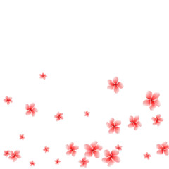 Festive Background with plumerias. Feminine Pattern for Postcard, Print, Banner or Poster. Small Pretty  flowers For Party Decoration, Wedding, Birthday or Anniversary Invitation.
