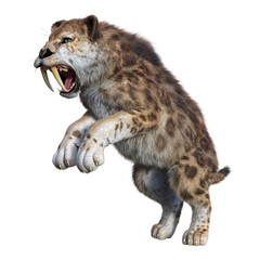 3D Rendering Sabertooth Tiger on White