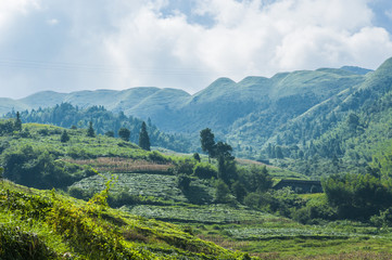 Fototapeta premium Mountains scenery in autumn 