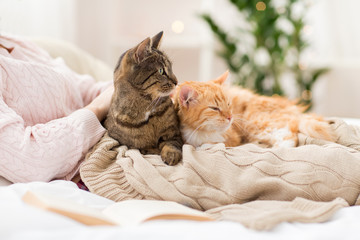 close up of owner with red and tabby cat in bed