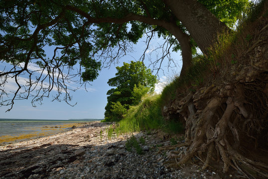 Ostseek&uuml;ste auf der d&auml;nischen Ostseeinsel Insel Als/Alsen