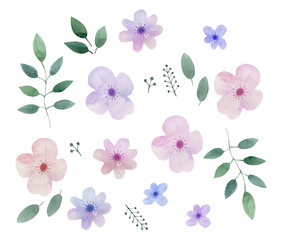 Fototapeta na wymiar Hand drawn collection of plants, branches, leaves and flowers isolated on white background. Watercolor spring colorful illustration. Set of different floral elements.