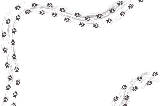 Wolfspuren - dreckig