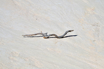 Australia, Mungo National Park