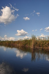 Obraz premium African river. Namibia