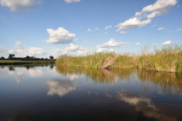 Obraz na płótnie Canvas African river. Namibia
