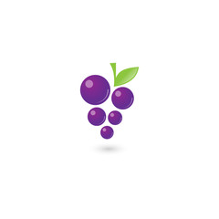Grape Logo Vector