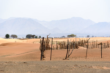 Beautiful View of Sharjah Desert with Trees and Fence.