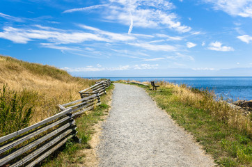 Fototapeta na wymiar Empty Gravel Coastal Path with a Wooden Bench Facing the Ocean on a Sunny Summer Day.