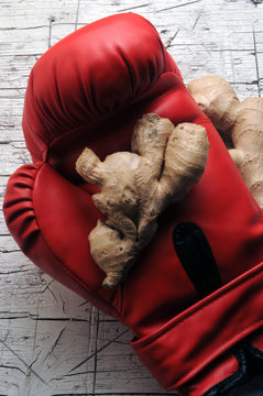 Zingiber officinale &Pi;&iota;&pi;&epsilon;&rho;ό&rho;&iota;&zeta;&alpha; Zenzero Jengibre Ingwer Ginger Ingef&auml;ra Kion Imbir lekarski Quion 薑 Inkiv&auml;&auml;ri Gừng Gengibre Имбирь аптечный ショウガ 