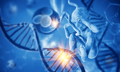 Dna with fetus. 3d illustration