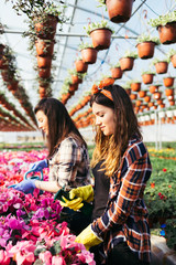 Beautiful young women working in greenhouse and enjoying in beautiful flowers. 