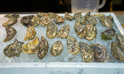Fresh oysters on ice for sale at a seafood market