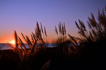 romantic sunrise