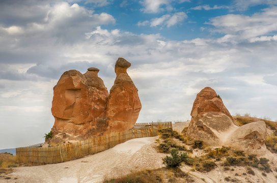 Camel rock at Devrent Imagination Valley, Cappadocia - Goreme - Turkey.