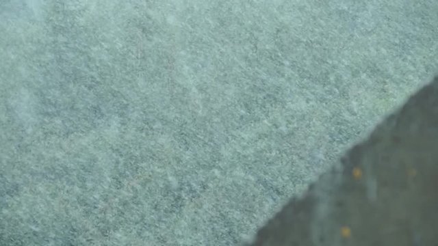 ромашки в снегу