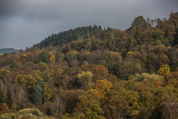 Fototapeta na wymiar bunter Herbstwald