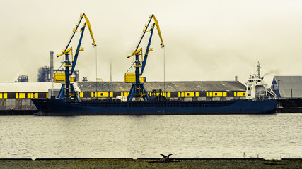 Fototapeta premium Kräne im Hafen von Wismar