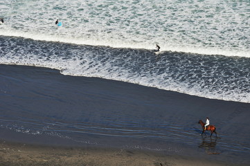 cavalcata in riva al mare