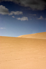 Fuerteventura Desert