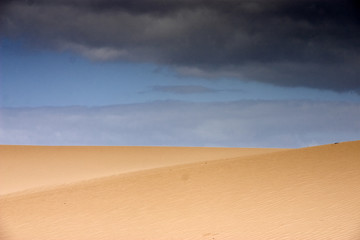 Fuerteventura Desert