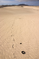 Fuerteventura Desert