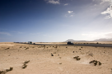 Fuerteventura Desert