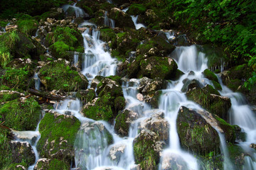 Wild water cascades