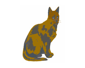 Cute colorful cat pet animal hand drawn. Vector illustration on a white background
