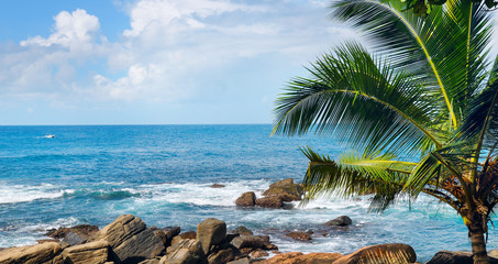 Beach tropical ocean with palm trees and lagoon. Wide photo.