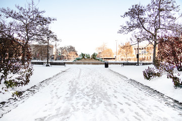 Snow in park